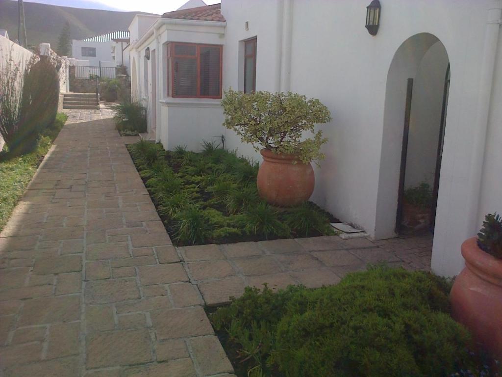Pelagus Guest House Hermanus Extérieur photo