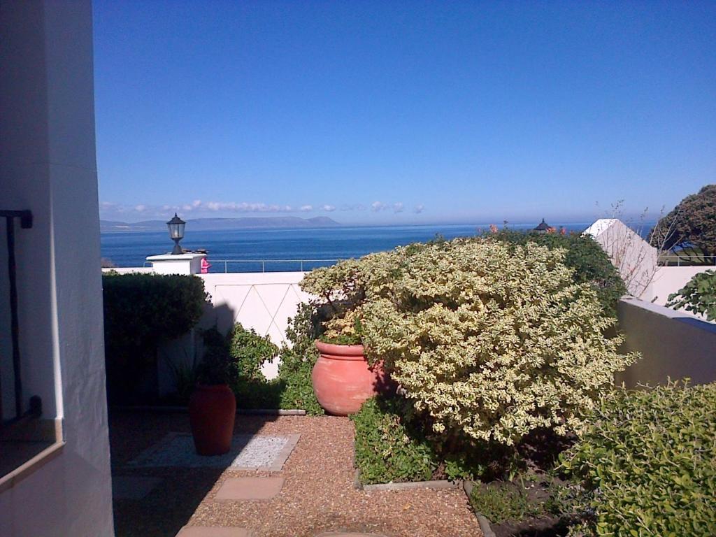Pelagus Guest House Hermanus Extérieur photo