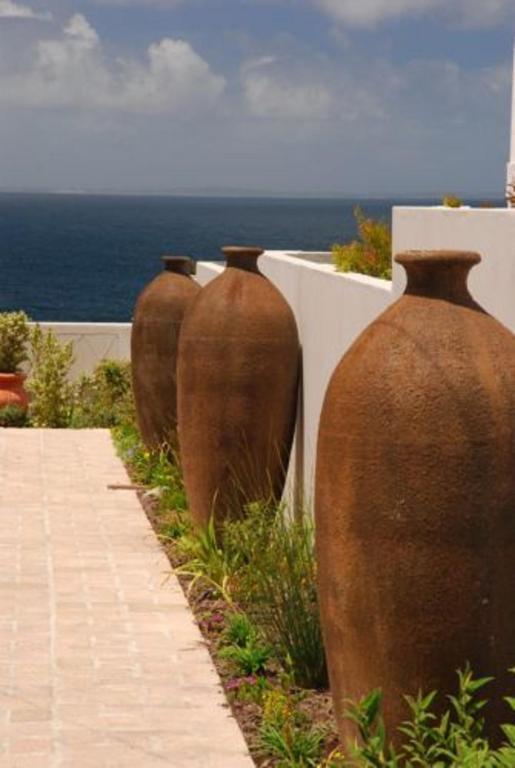Pelagus Guest House Hermanus Extérieur photo